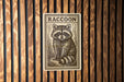 a raccoon, which is the central focus of the image.