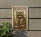 a raccoon, which is a small, furry animal with a distinctive face and striped tail.
