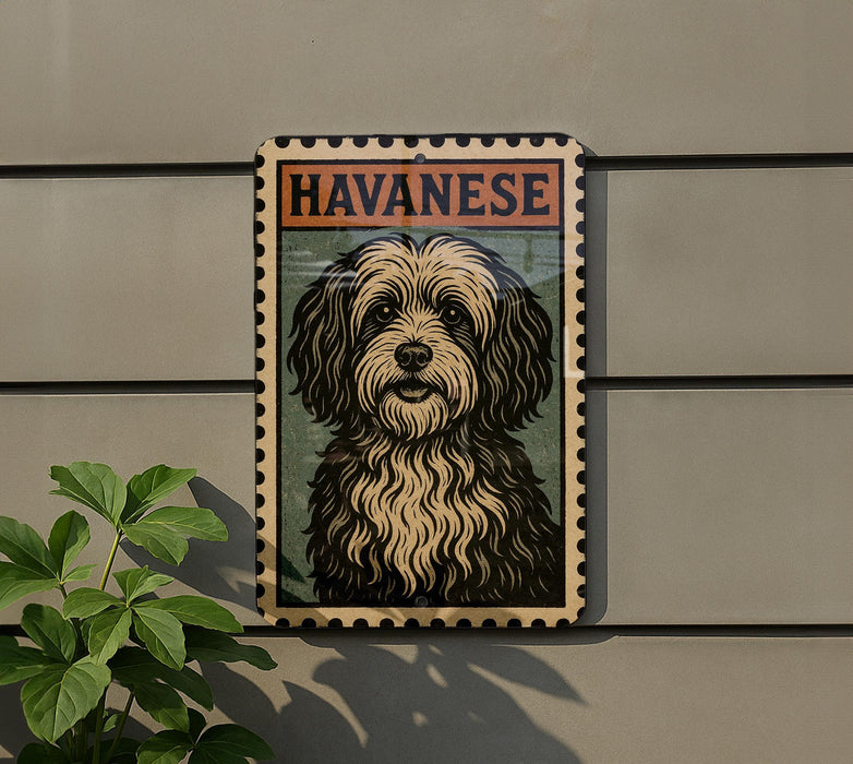 A framed image of a dog, specifically a Havanaese dog, is displayed on a wall.