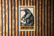 a sign with the word "ANTEATER" on it, which is mounted on a wooden wall.