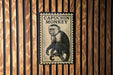 A sign with the text "CAPUCHIN MONKEY" and an illustration of a capuchin monkey is displayed on a wooden wall.