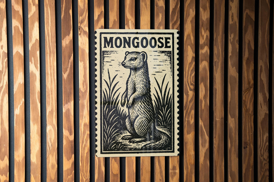 A framed image of a mongoose, a type of small, agile wild cat, is displayed on a wooden wall.