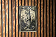 A framed image of a mongoose, a type of small, agile wild cat, is displayed on a wooden wall.