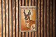 A 5c postage stamp featuring an illustration of a Pronghorn antelope.