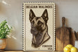 A framed image of a Belgian Malinois dog, with the text "Belgian Malinois Forever USA" printed on it, is displayed on a shelf next to a wooden cutting board and a potted plant.