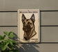 A sign featuring a black and white illustration of a Belgian Malinois dog, with the text "Belgian Malinois Forever USA" displayed on it.
