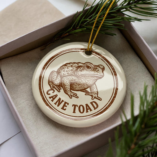 A ceramic ornament in a box, featuring a detailed illustration of a cane toad.
