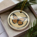 A ceramic ornament in the shape of a butterfly is displayed in a box, surrounded by pine branches.