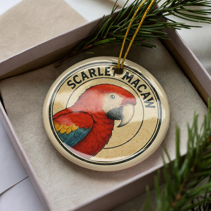 A round ornament featuring a parrot, specifically a red macaw, is displayed in a box with pine branches.