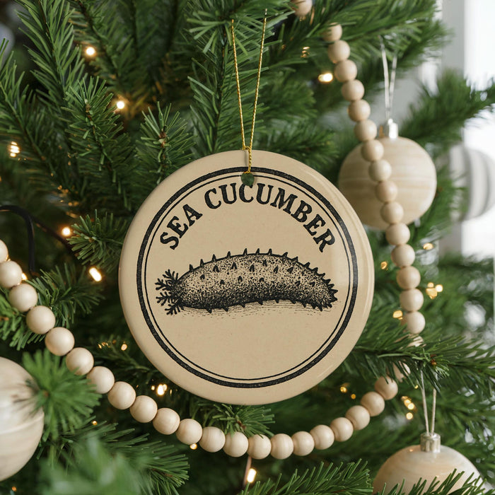 A Christmas tree decorated with ornaments, including a circular ornament with a drawing of a sea cucumber and the text "SEA CUCUMBER".
