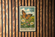 A vintage US postage stamp depicting a butterfly in a meadow, with the text "Butterfly Meadow" printed on it.