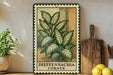 a framed illustration of a potted plant with large green leaves, placed on a shelf next to a wooden cutting board and a bowl of lemons.