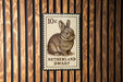 A 10 cent postage stamp from the Netherlands, featuring a rabbit, is displayed on a wooden wall.