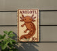 a sign with an illustration of an axolotl, a type of salamander, mounted on a wall.
