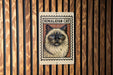 A framed image of a Himalayan cat is displayed on a wooden wall.