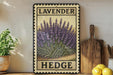 A framed illustration of lavender flowers is displayed on a shelf, accompanied by a wooden cutting board and a potted plant.