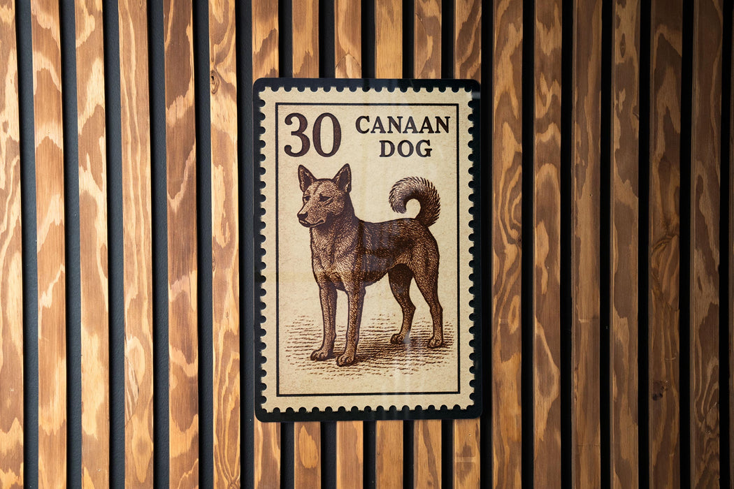 A 30 Cannaan Dog postage stamp is displayed on a wooden wall.