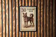 A 30 Cannaan Dog postage stamp is displayed on a wooden wall.