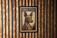 a close-up of a wooden wall with a framed image of a dog, which appears to be a CIRNECO DELLE'ETNA stamp.