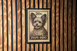 A wooden wall with a 20c postage stamp featuring a dog's face and the text "PAPI-POOO" printed on it.