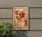 A brown and white dog is depicted on a brown and white postage stamp, which is mounted on a gray wall.