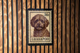A stamp-like image of a dog, specifically a poodle, with the text "LHASAPOO" printed on it.