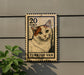 A Turkish postage stamp featuring a cat is displayed on a wall, with a plant visible to the left.