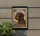 A stamp featuring a dog's head on a brown background, with text indicating it is a Slovakian Rough-haired Pointer.