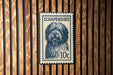A blue and white postage stamp featuring a dog's face is displayed on a wooden wall.