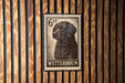 A metal sign with a black and white image of a dog, mounted on a wooden wall.