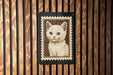 A framed image of a cat is displayed on a wooden wall.