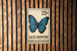 A 25c postage stamp featuring a blue butterfly is displayed on a wooden wall.