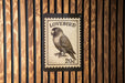 A postage stamp featuring a parrot is displayed on a wooden wall.