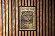 A black and white cat stamp with the text "SCOTTISH FOLD" and "15p" printed on it, mounted on a wooden wall.