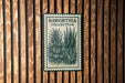 A framed poster with a plant illustration is displayed on a wooden wall.