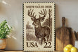 A framed stamp-like artwork depicting a white-tailed deer, with the text "WHITE-TAILED DEER" and "USA 22" printed on it. The artwork is displayed on a shelf next to a wooden cutting board and a potted plant.