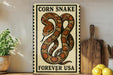 a vintage-style sign with a large illustration of a corn snake, accompanied by the text "CORN snake Forever USA" on a wooden surface.