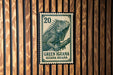 A green and white postage stamp featuring an illustration of a green iguana, mounted on a wooden wall.