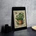A black metal frame displaying a postage stamp-style illustration of a potted herb plant on a kitchen countertop.