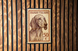 A postage stamp featuring a dog's head, with the text "SEUGUIO ITALIANO" and the denomination "50 C" printed on it.