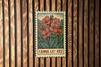 A vintage-style metal sign with a floral illustration and the text "Canna Lily Bed" is displayed on a wooden wall.