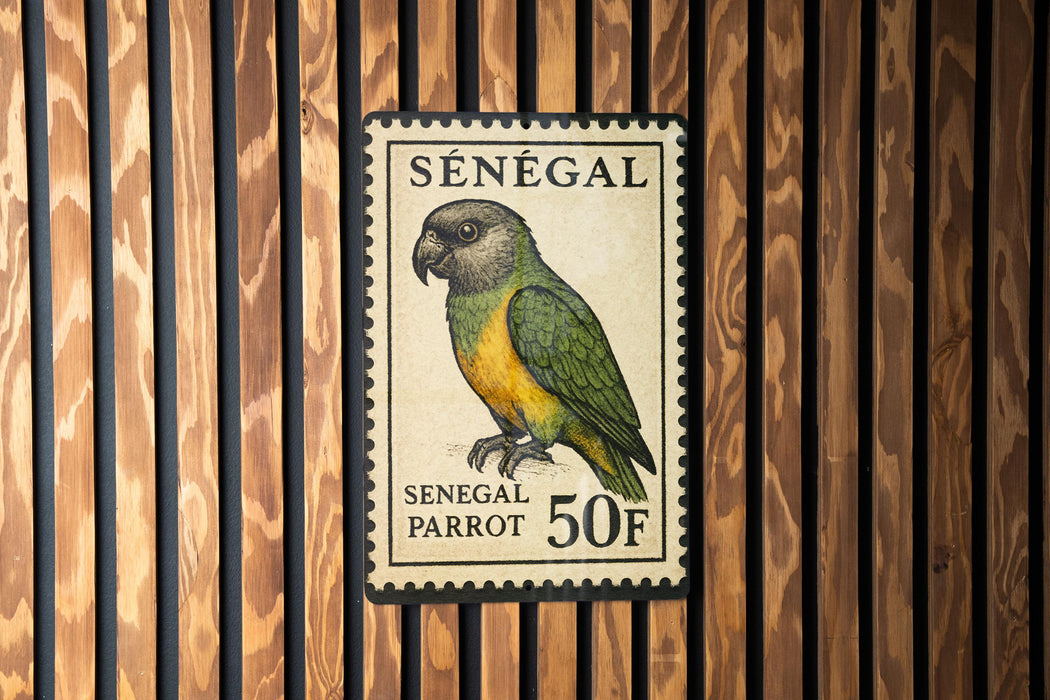A postage stamp from Senegal, featuring a parrot, is displayed on a wooden wall.