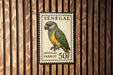 A postage stamp from Senegal, featuring a parrot, is displayed on a wooden wall.