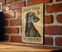 A wooden surface with a framed image of a Scottish Deerhound dog on a brick wall.