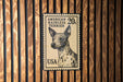 A United States postage stamp featuring an American Hairless Terrier dog.