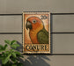 a colorful parrot, specifically a Conure, perched on a wall.