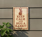 A sign with the message "KEEP CALM AND HUG A RABBIT" is displayed on a wall, with a plant to the left of the sign.