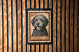 A framed image of a dog, specifically an Australian Shepherd, is displayed on a wooden wall.