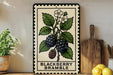A framed illustration of a berry plant with blackberries and white flowers is displayed on a shelf, accompanied by a wooden cutting board and a potted plant.