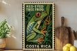 A framed illustration of a red-eyed tree frog is displayed on a shelf, with a wooden cutting board and a potted plant nearby.